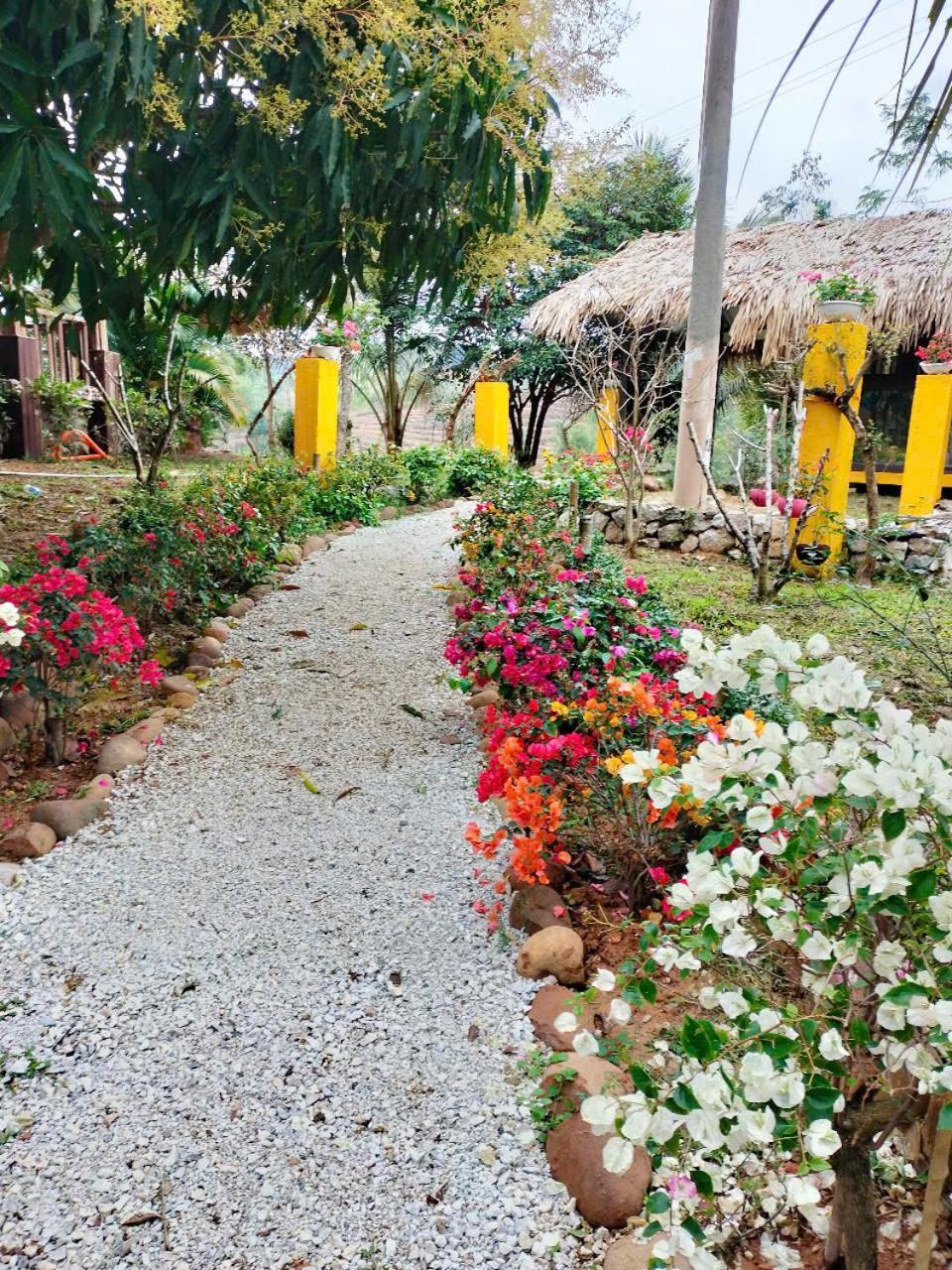 Mai Chau Onsen Retreat Hotel Ngoại thất bức ảnh